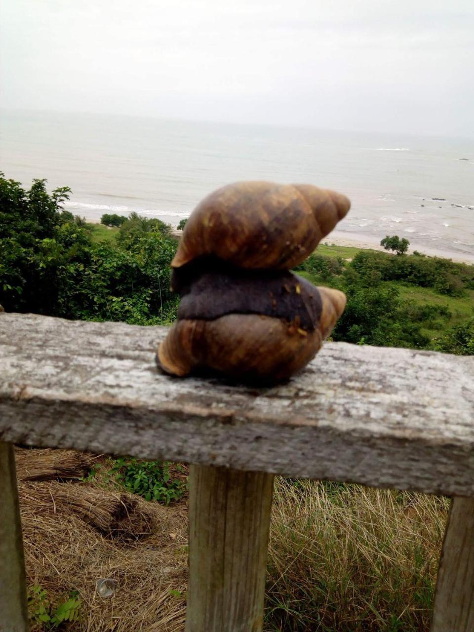 Abuesi Beach Resort Sekondi-Takoradi 外观 照片